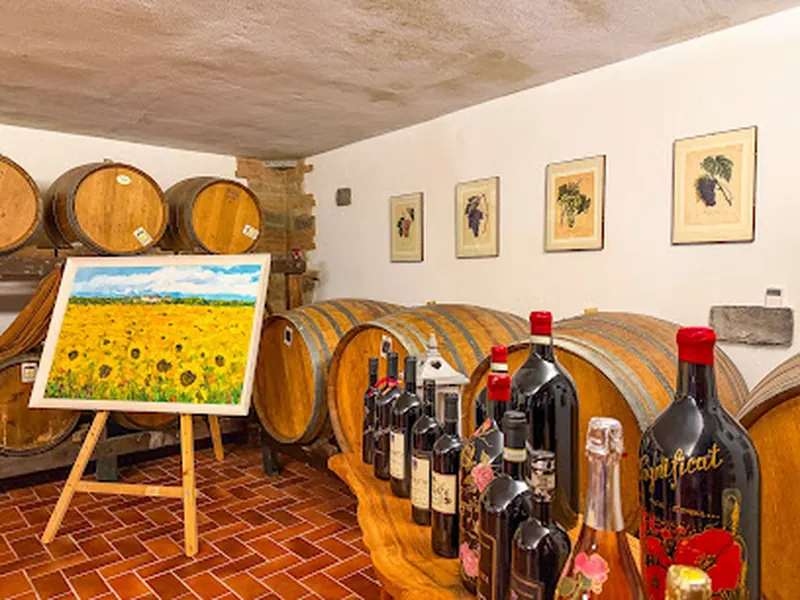 Tenuta Casanova - Luxury Wine Estate
