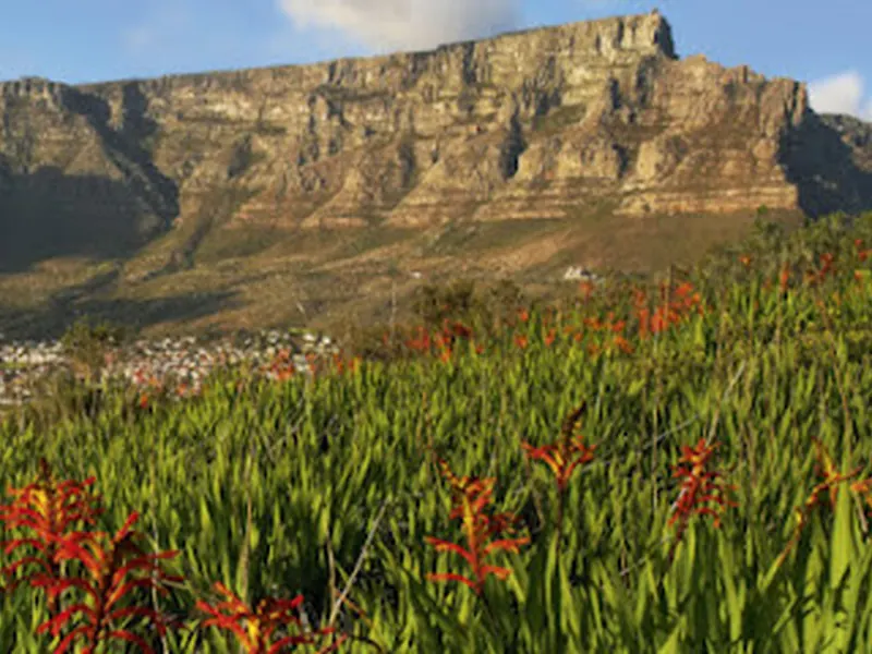 Table Mountain Aerial Cableway