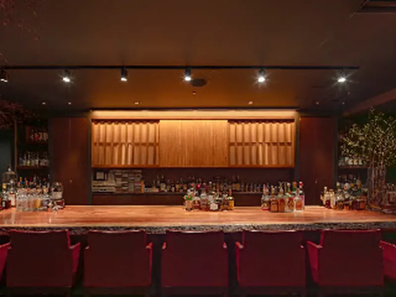the bar nano. gould.