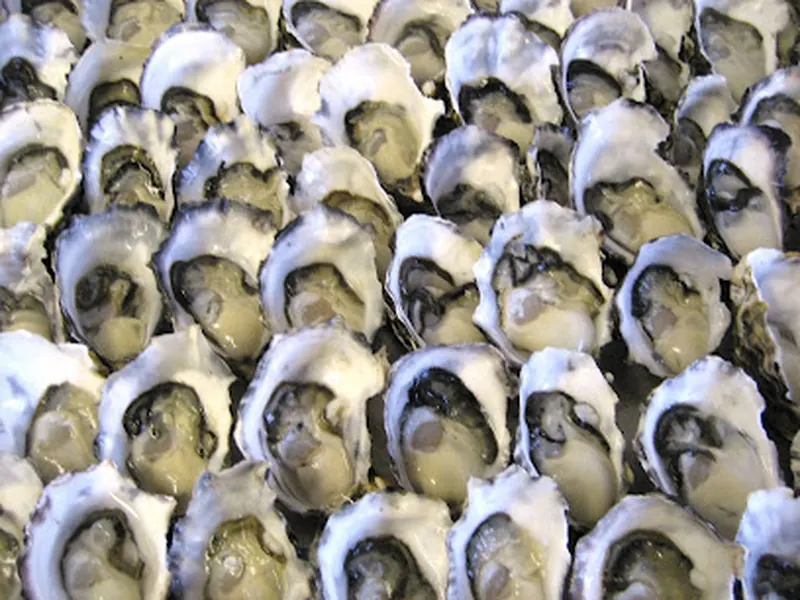 Get Shucked
