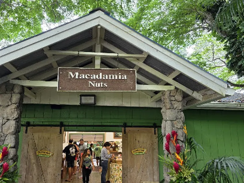 Tropical Farms Macadamia Nuts