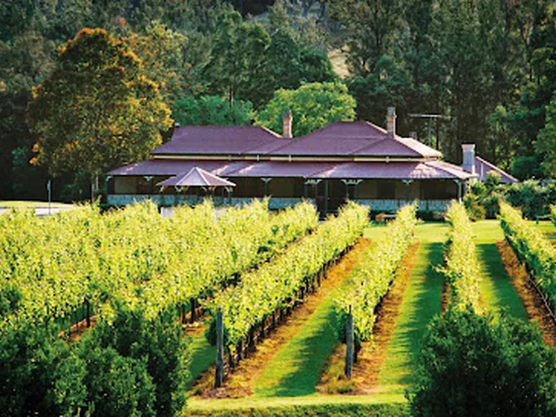 O'Reilly's Canungra Valley Vineyards