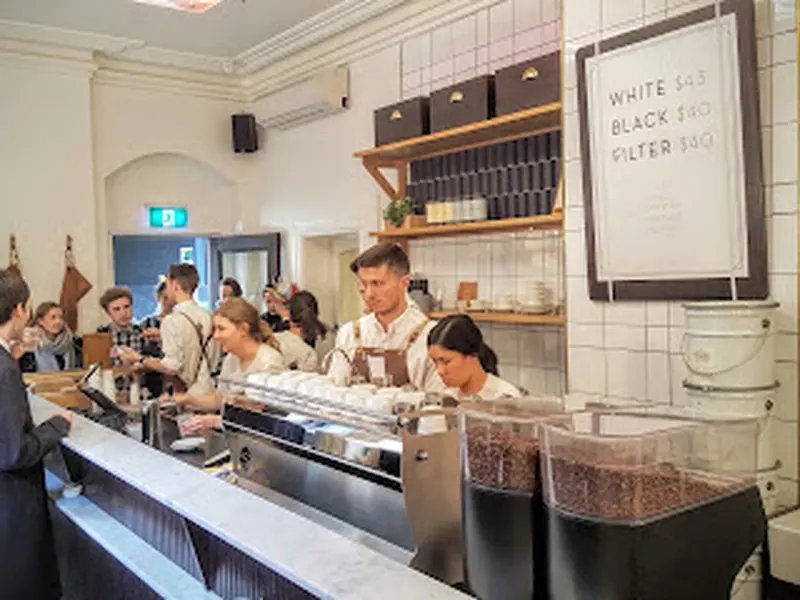 Patricia Coffee Brewers
