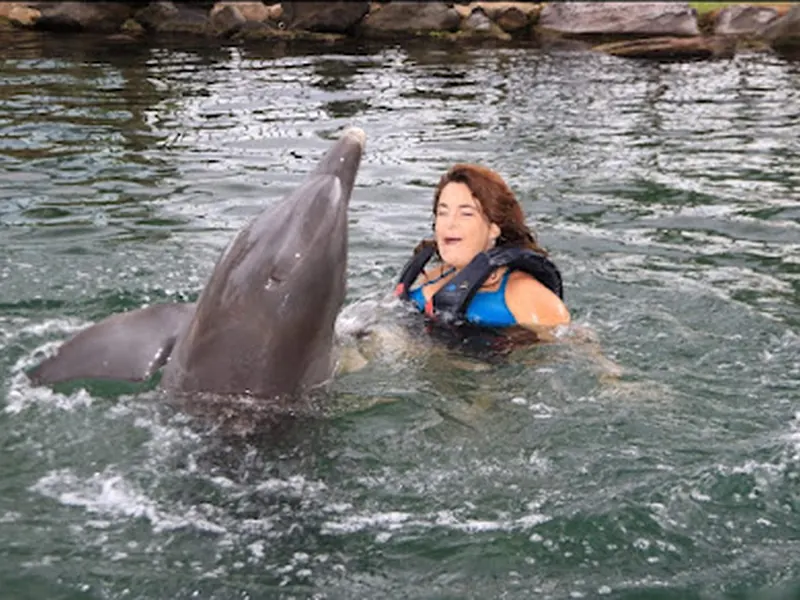 Dolphin Quest