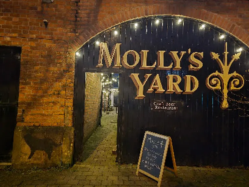 Molly's Yard
