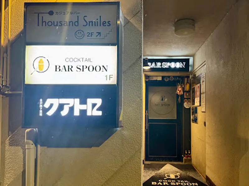 Bar Spoon