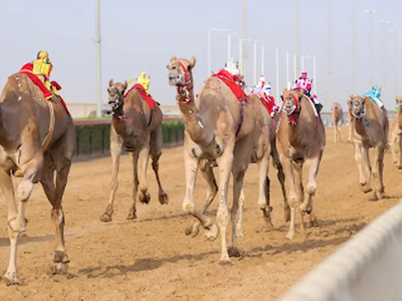 Al Marmoom Heritage Village